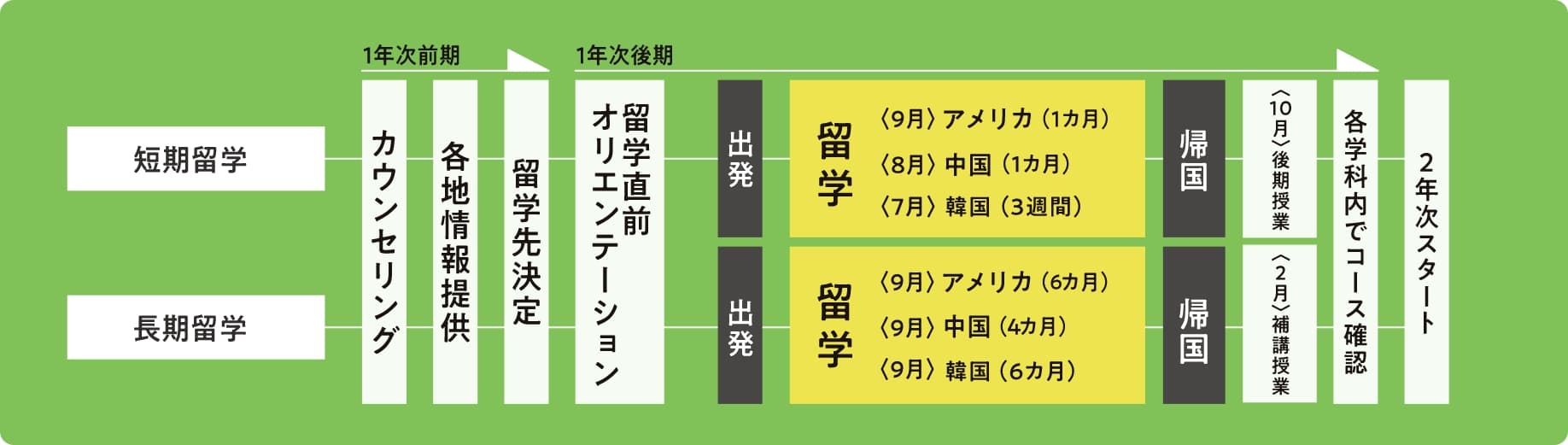 主な留学コースの流れ 図