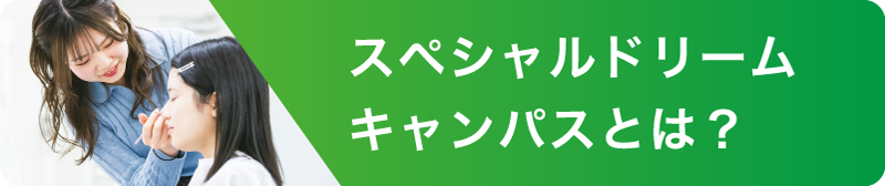 スペシャルドリームキャンパスとは？